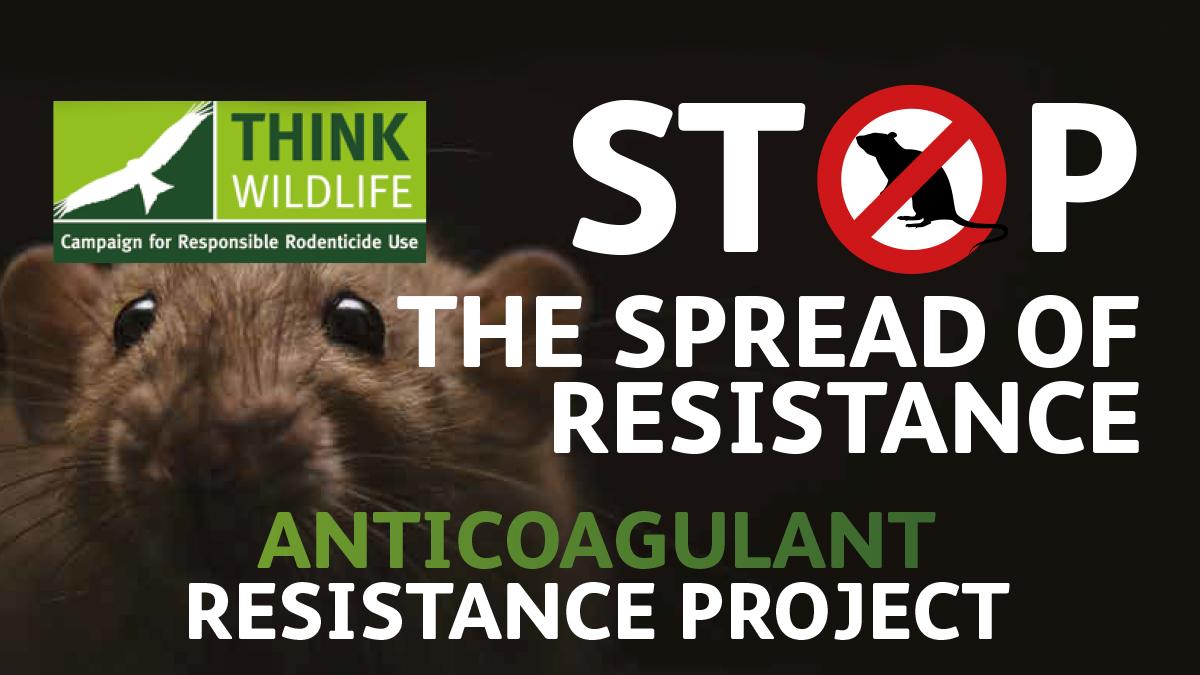 Stop the spread of resistance CRRU rodenticide resistance campaign UK